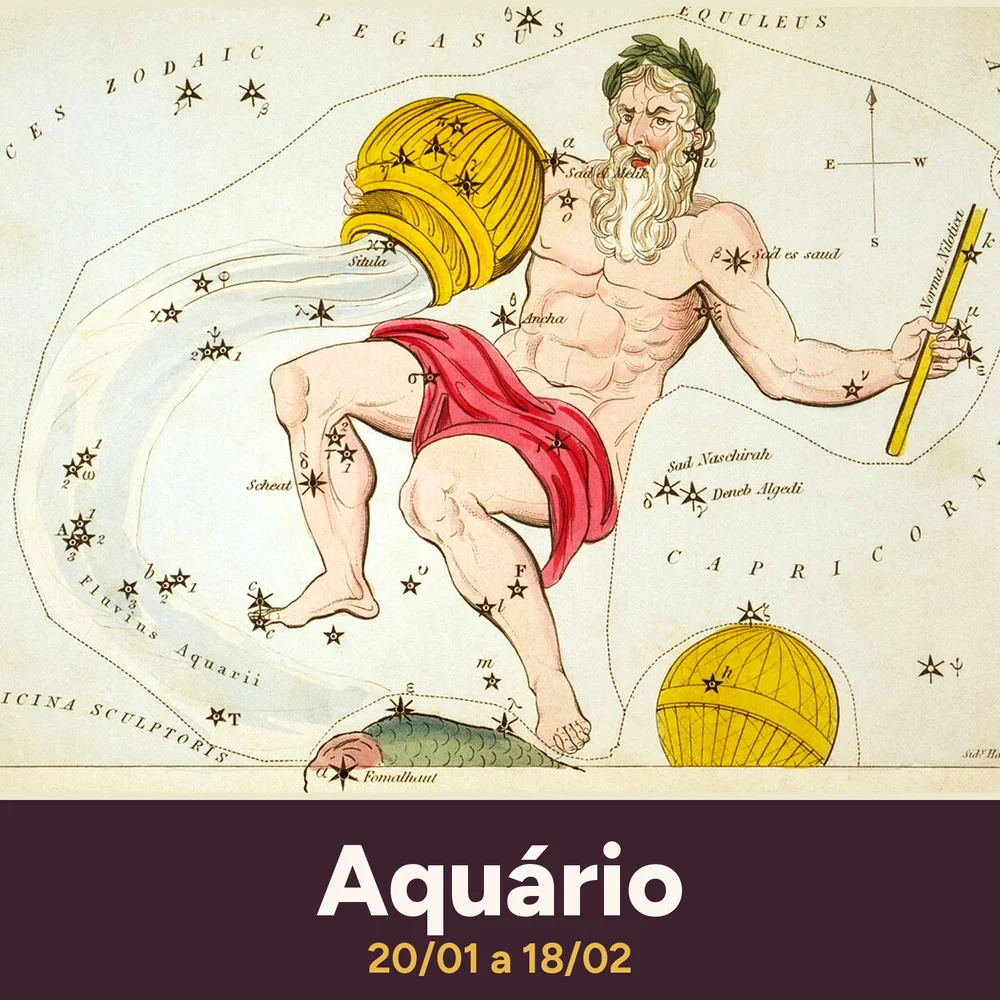 Signo de Aquário